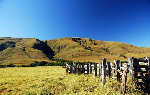 Paisagem típica do Parnacanastra